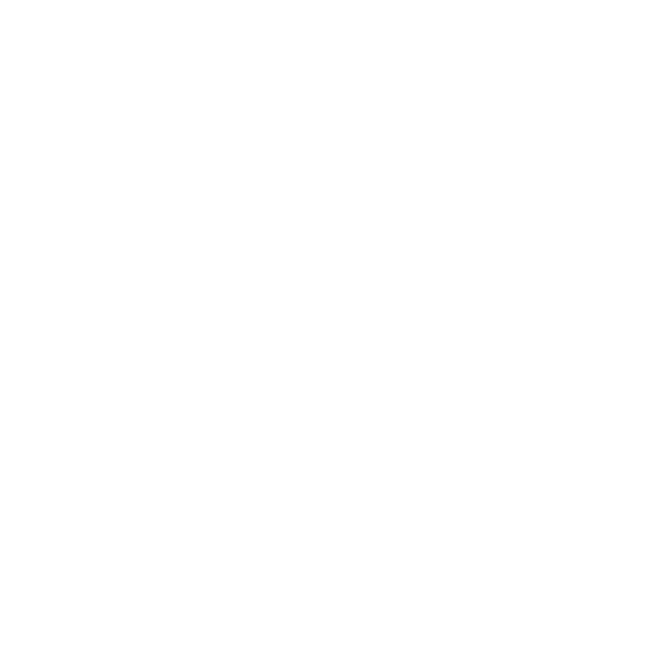 Madrid Roller Night